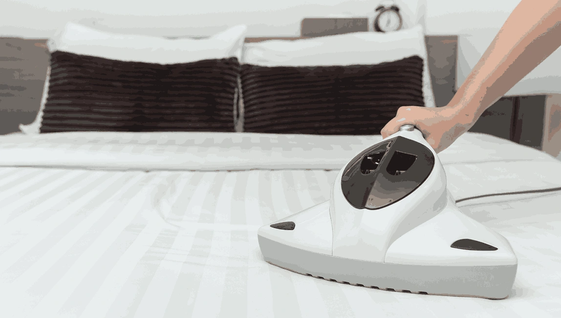 Professional Mattress Cleaning Park Orchards